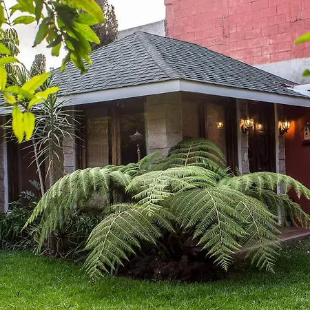 Apartamento Mi casa, tu casa
